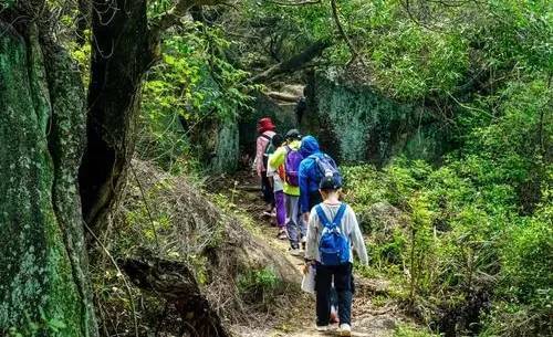 深度揭秘（神奇的探险之旅作文500字海中荒岛）神奇的探险之旅作文500字海中荒岛环境描写 第21张