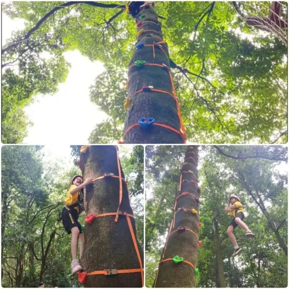 深度揭秘（神奇的探险之旅作文500字海中荒岛）神奇的探险之旅作文500字海中荒岛环境描写 第49张