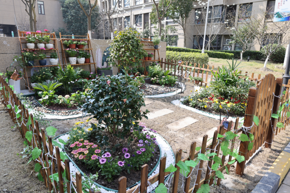 金山这里有个共享花圃既美观又实用