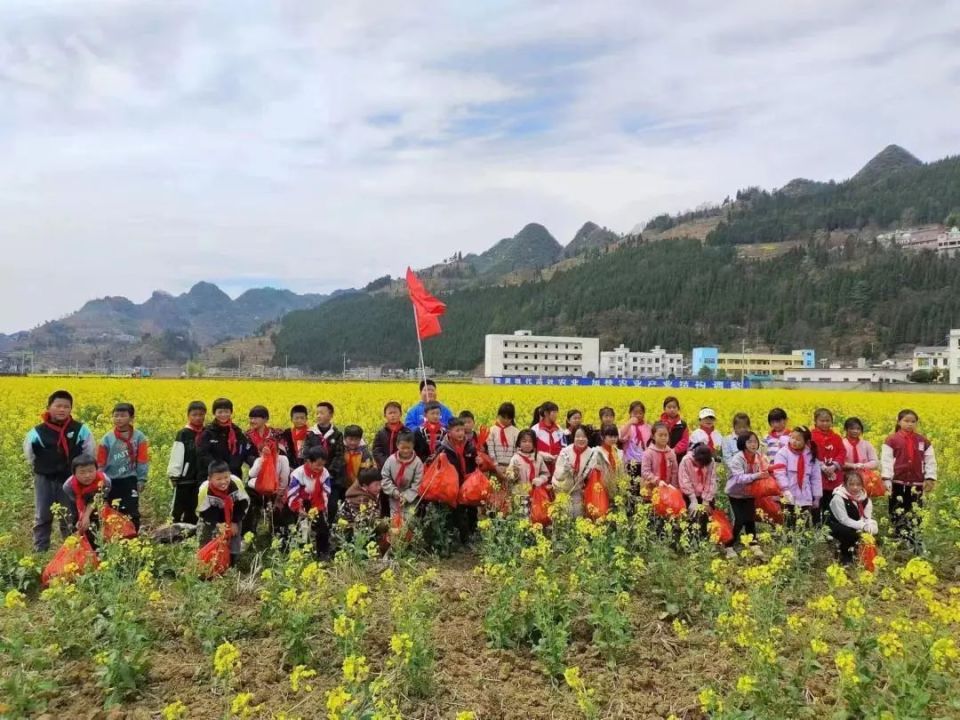 织金县阿弓镇:美化家园展风采,小小少年写担当