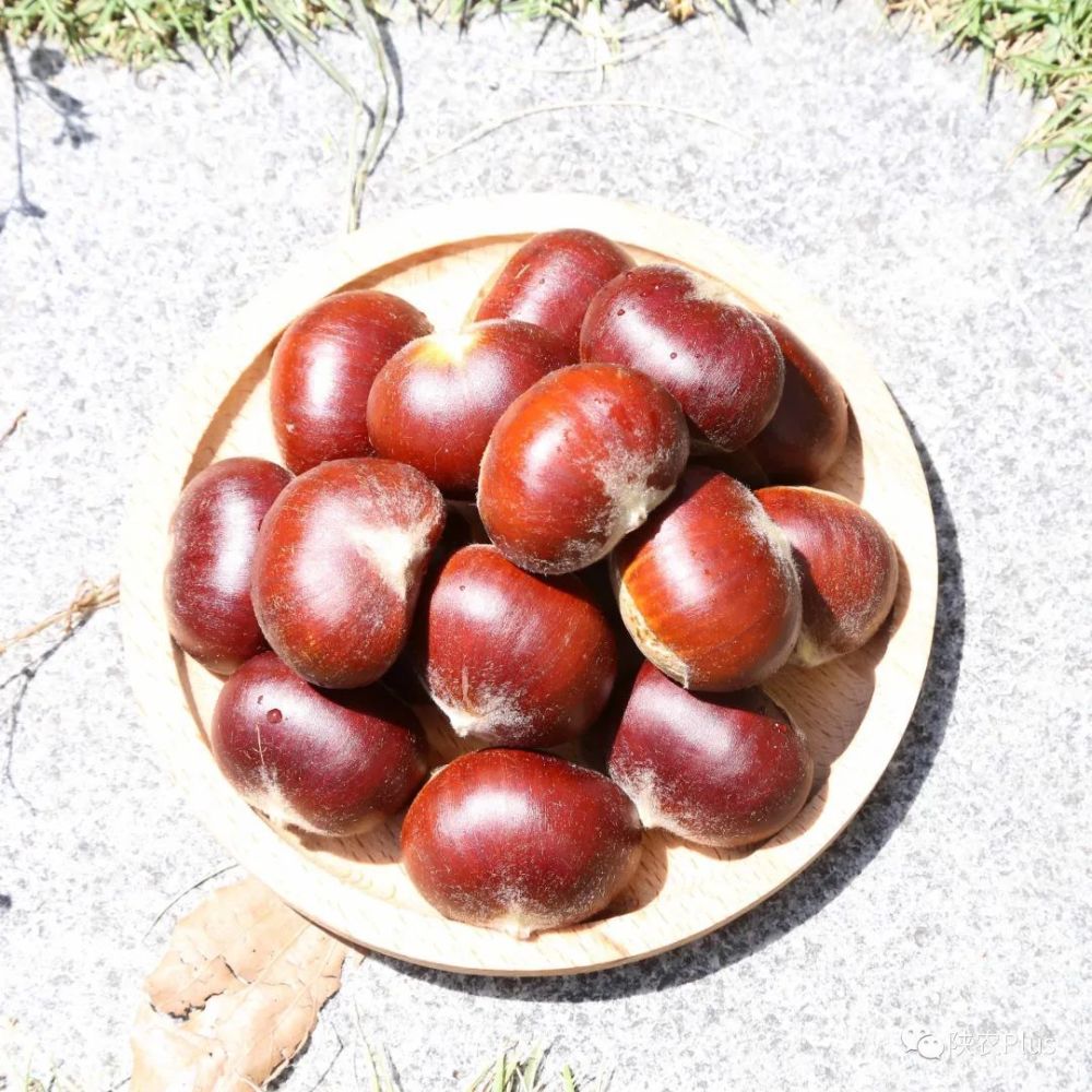 陕西宁陕:"土特产" 蹚出乡村振兴"新路子"_腾讯新闻