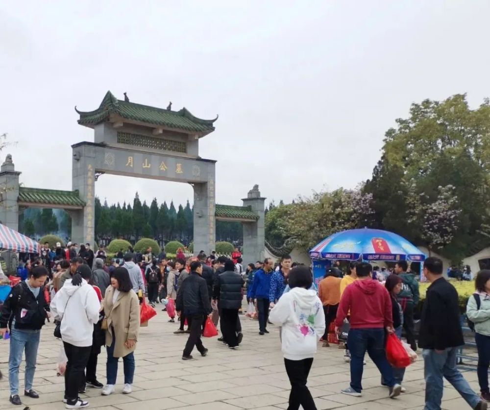 重要提醒事关今年清明祭扫柳州最新消息来了