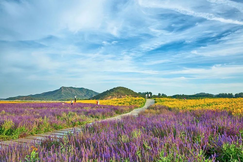 快去打卡昌平这处网红景区将新增10余处景观