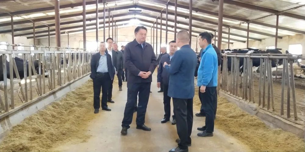 伊犁州党委副书记,州长叶尔夏提·吐尔逊拜深入伊宁市调研_腾讯新闻