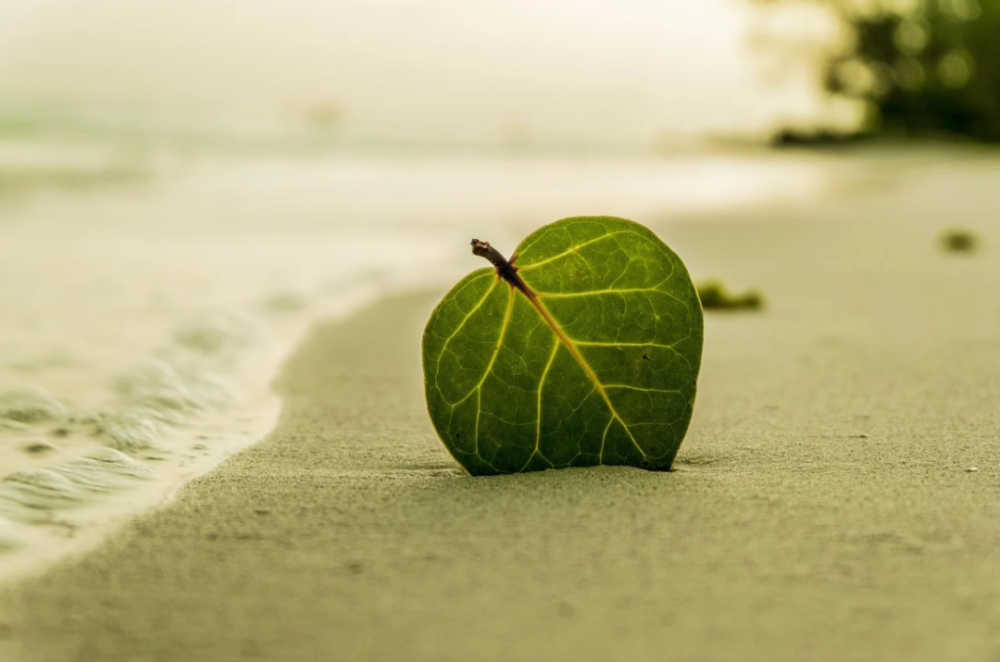 Java JDK 21 JDK 20 API Gen ZGC Hilla 2 0 