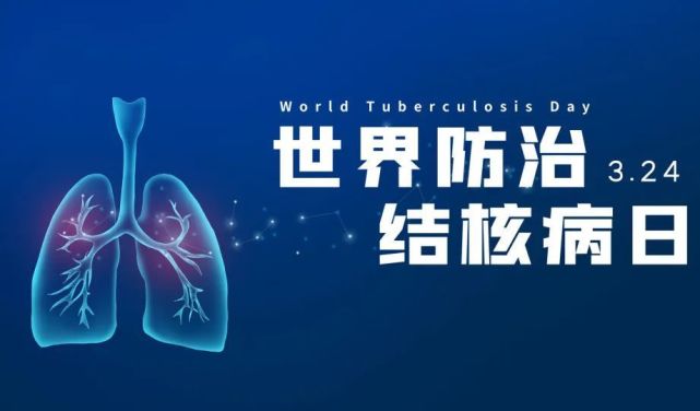 世界防治结核病日你我共同努力终结结核流行