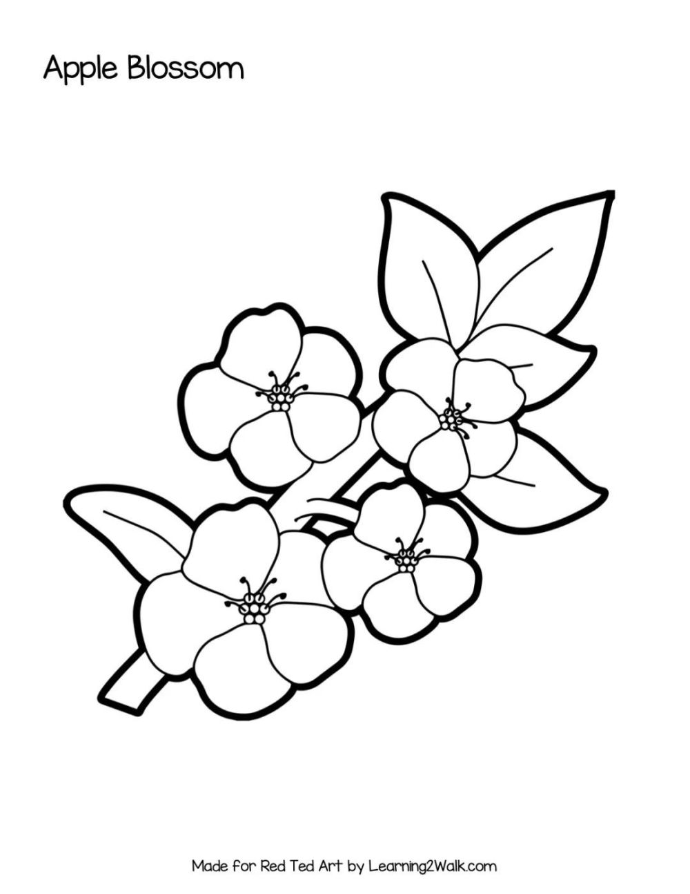 还可以打印更多花朵填色资源,有我们常见的向日葵,玫瑰,勿忘我等等