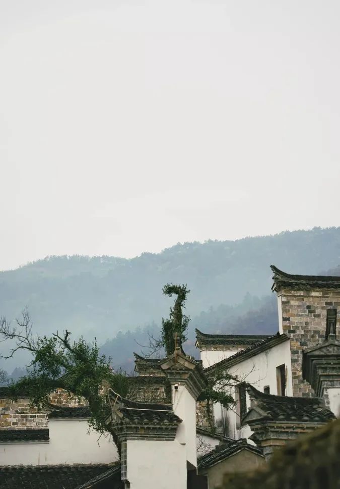 相约安徽·向春而行|这个春天,来泾县有泾喜!