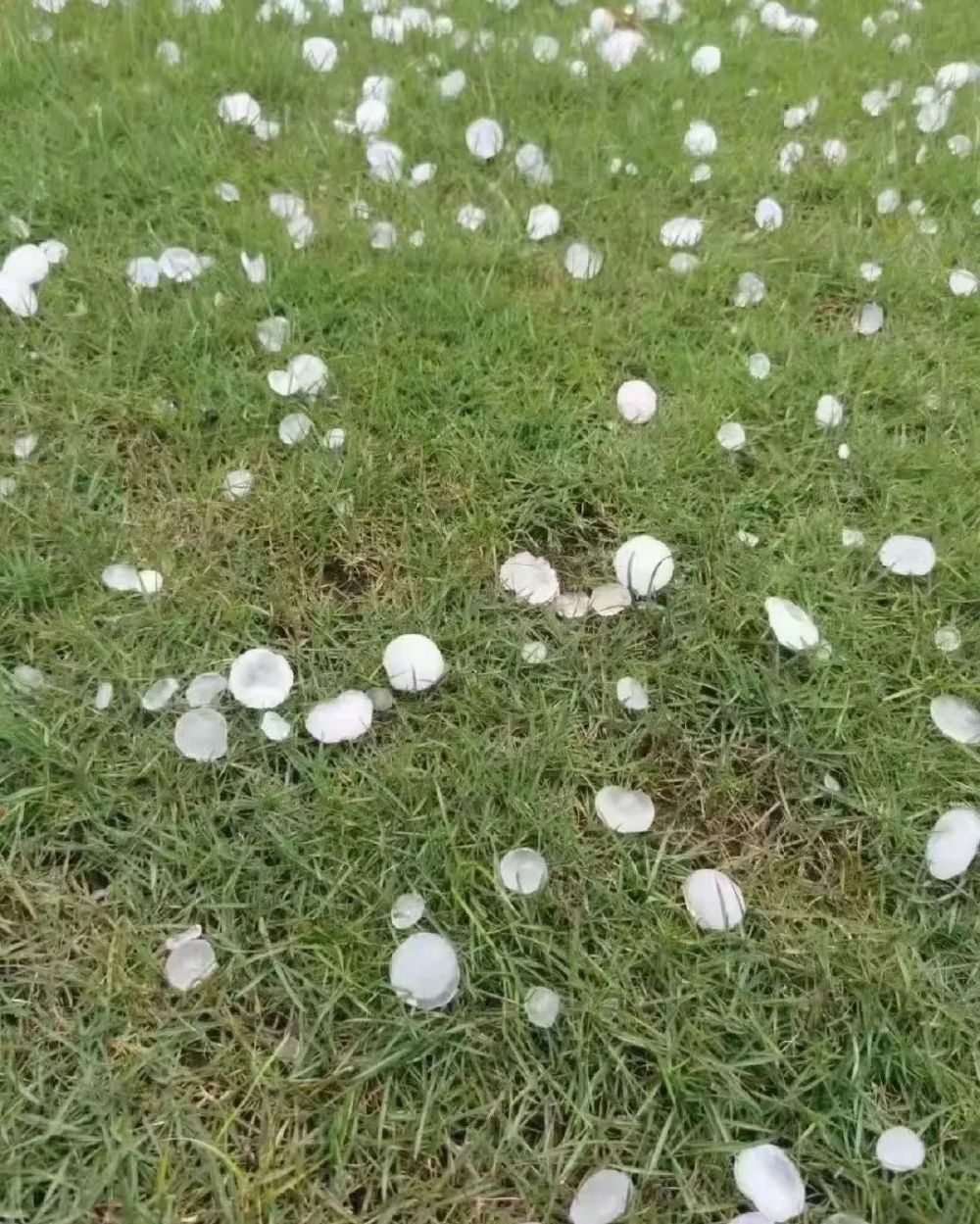 冰雹乱坠,雷滚雨疾,周末暴雨将至,请注意防范!_腾讯新闻