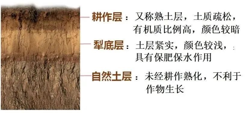 植被与土壤的十四大地理问题_腾讯新闻