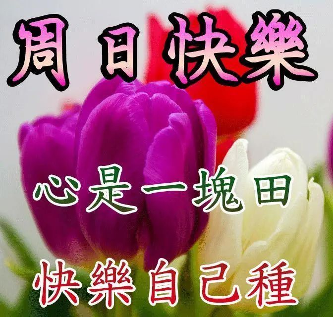 3月26日星期日 早安祝福语朋友圈文案，周日愉快动图美图带字，周末愉快动态表情图片大全_腾讯新闻