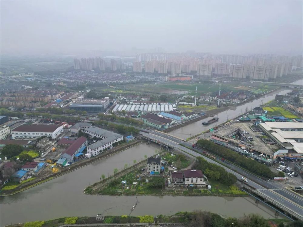 速戳将来的青浦新凤溪是这样的有图有真相