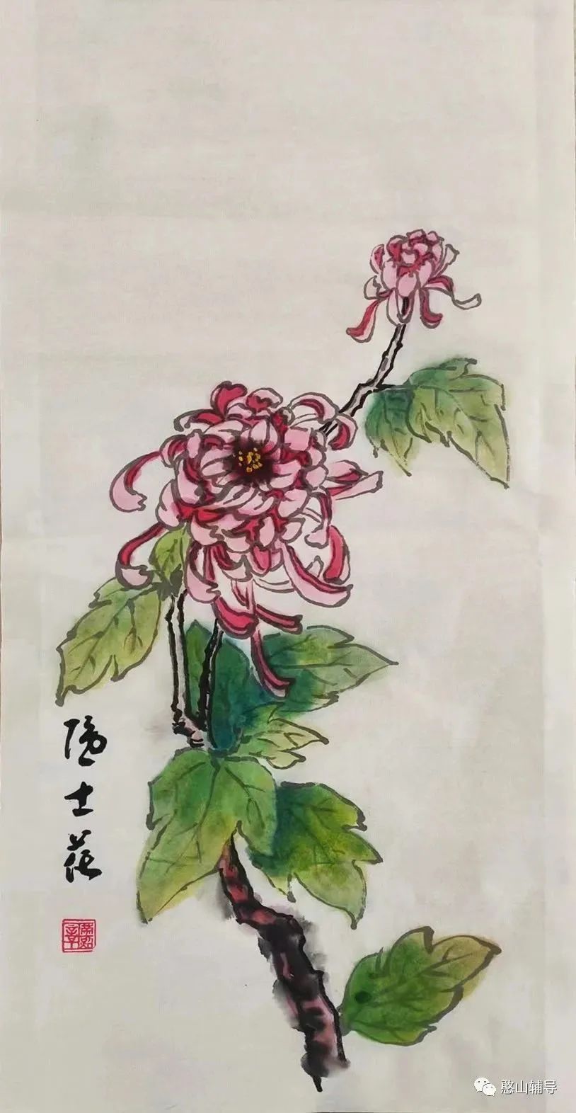 花中隐士是什么花（花中隐者是什么花啊）