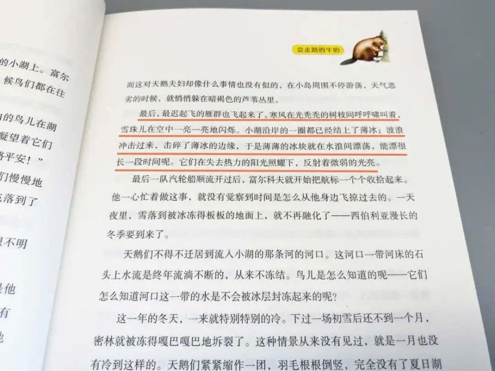 不要告诉别人（300个字的作文三年级上册）300个字的作文三年级上册猜猜他是谁 第12张