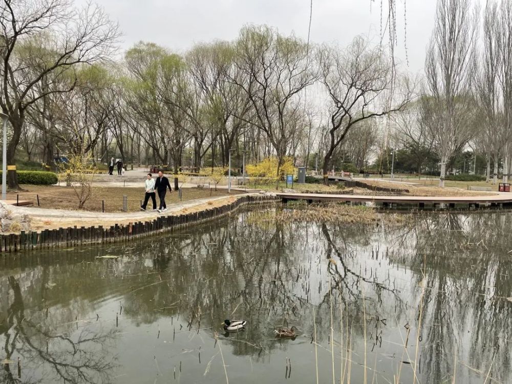深度｜北京这些公园，让风景触手可及零基础学职场公文写作送模板2023已更新(今日/知乎)零基础学职场公文写作送模板