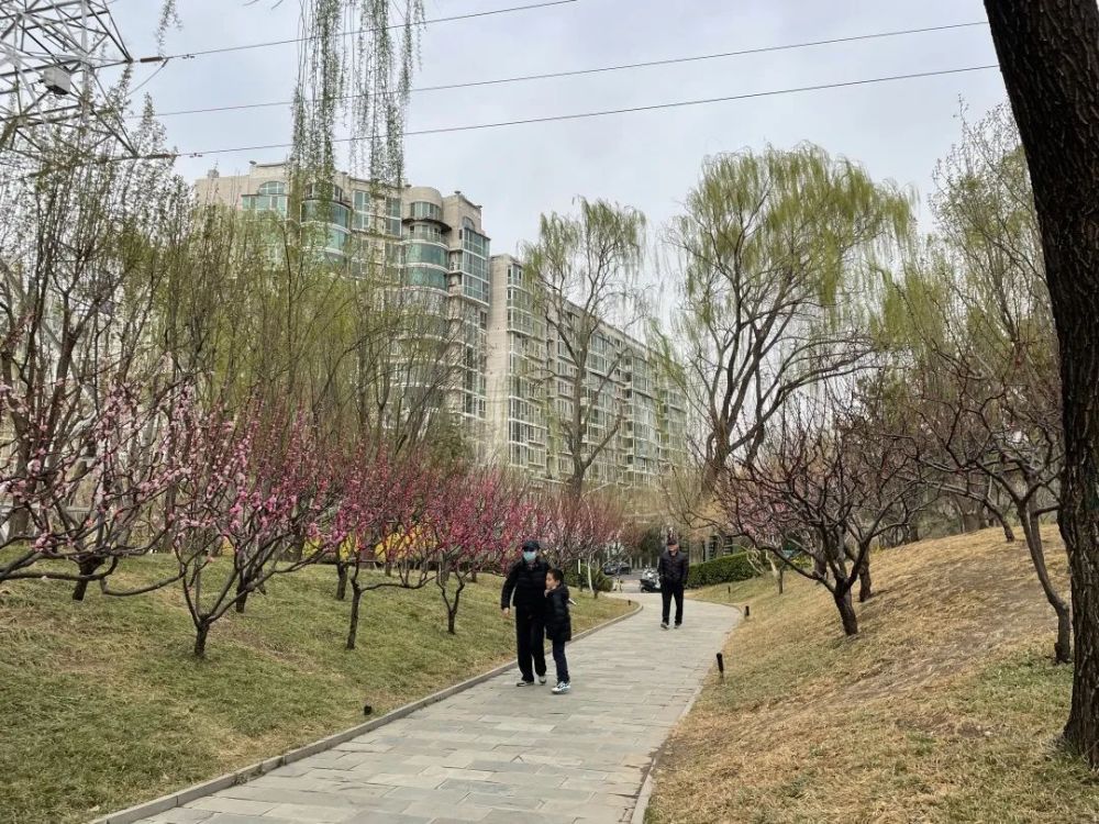深度｜北京这些公园，让风景触手可及零基础学职场公文写作送模板2023已更新(今日/知乎)零基础学职场公文写作送模板