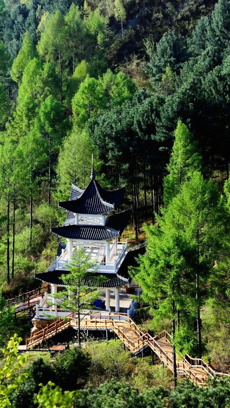 春天啦～人和心,总有一个要在伊春叭_腾讯新闻