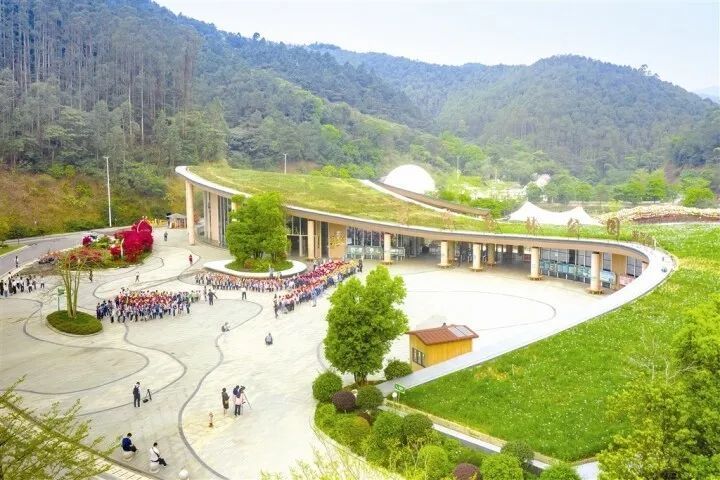 积极打造广西首个人与森林亲密互动的自然乐园——广西高峰森林公园