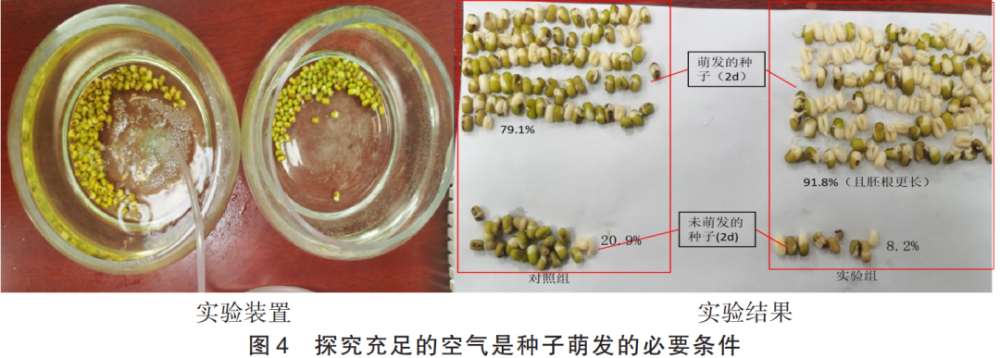 绿色植物的作用（用于绿化的草） 第3张