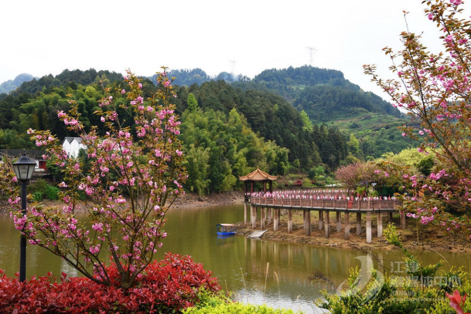 今年的花木旅遊文化節暨花朝節由中共重慶市江津區杜市鎮委員會,杜市