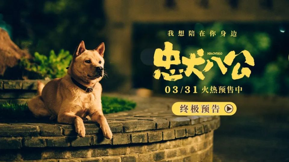 《忠犬八公》曝终极预告，小狗八筒用尽一生等待主人归来_腾讯新闻