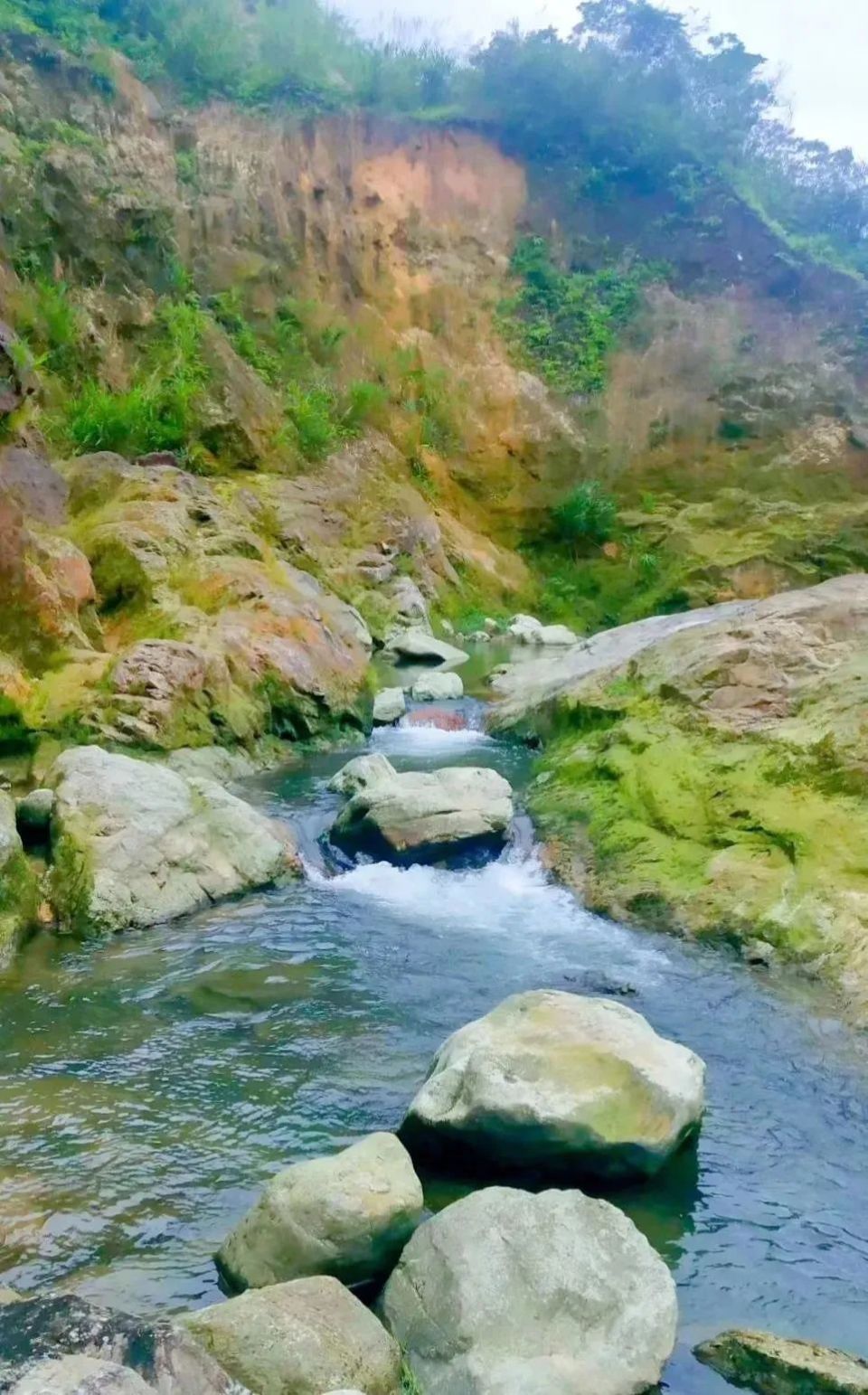 恩平仙人塞海图片