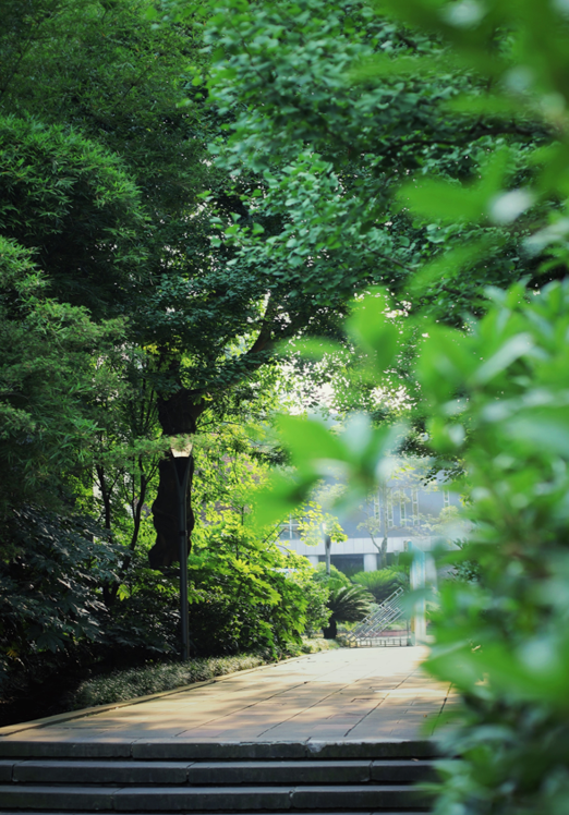 深度揭秘（四川水利职业技术学院）四川水利职业技术学院招生办 第15张