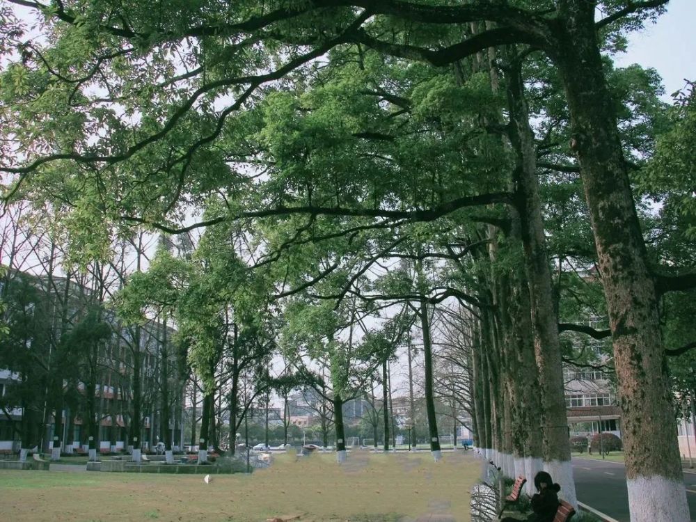 深度揭秘（四川水利职业技术学院）四川水利职业技术学院招生办 第31张