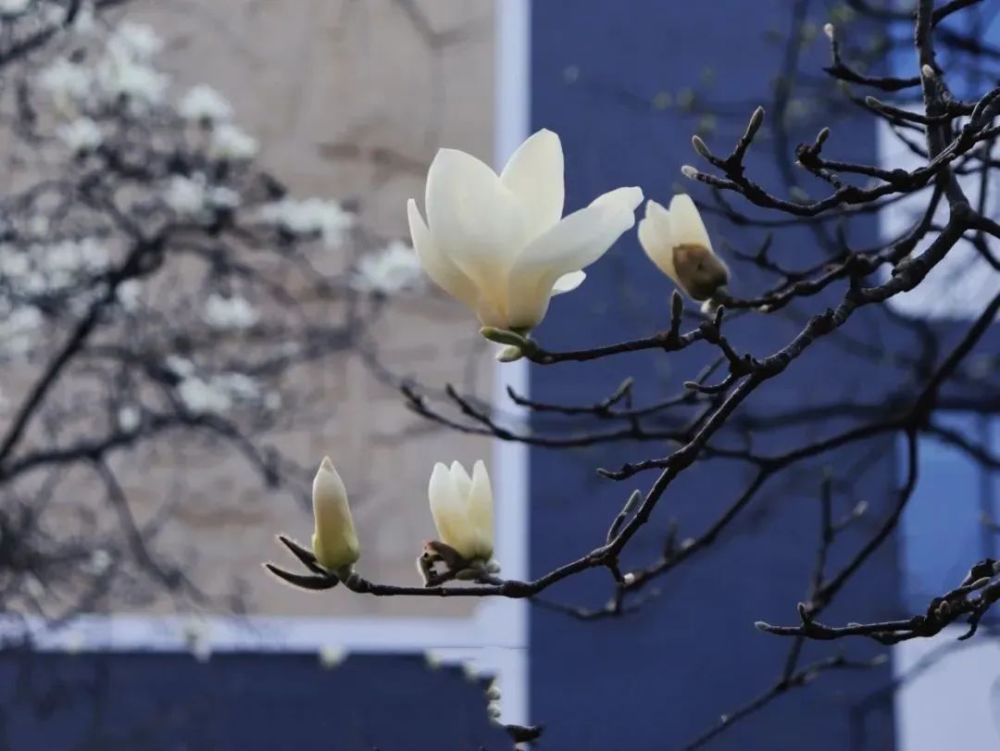 深度揭秘（四川水利职业技术学院）四川水利职业技术学院招生办 第36张