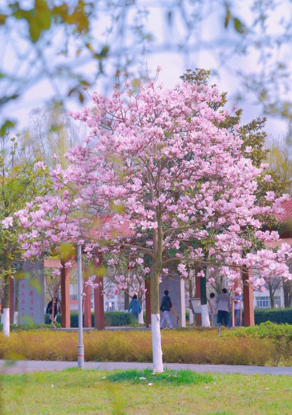 深度揭秘（四川水利职业技术学院）四川水利职业技术学院招生办 第42张