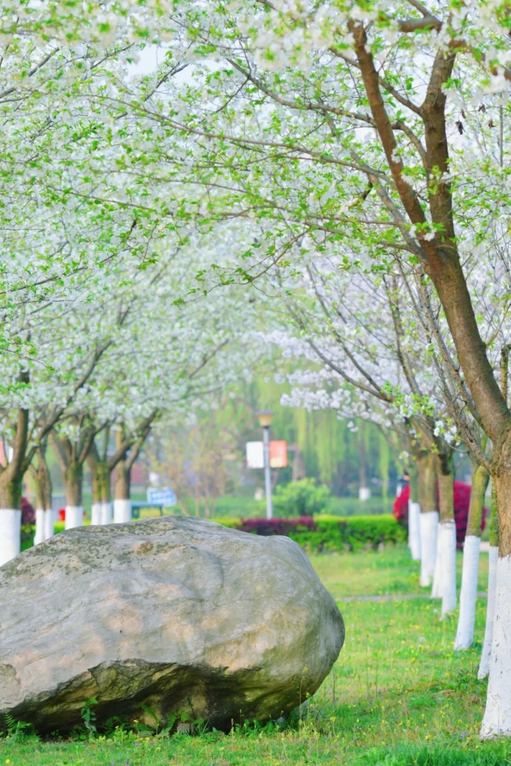 深度揭秘（四川水利职业技术学院）四川水利职业技术学院招生办 第43张