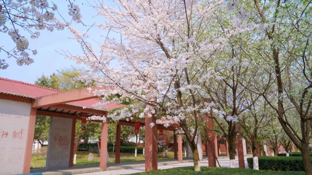 深度揭秘（四川水利职业技术学院）四川水利职业技术学院招生办 第44张