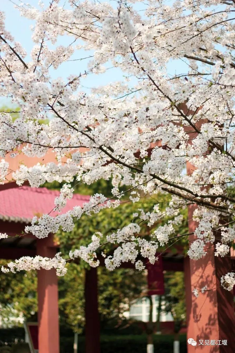 深度揭秘（四川水利职业技术学院）四川水利职业技术学院招生办 第45张