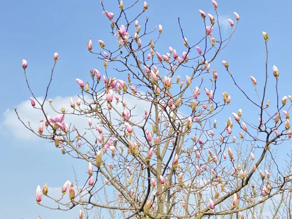 深度揭秘（四川水利职业技术学院）四川水利职业技术学院招生办 第58张