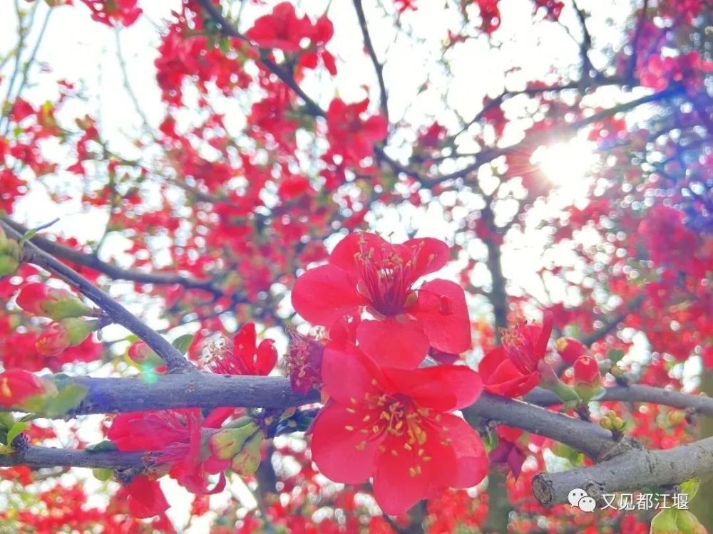 深度揭秘（四川水利职业技术学院）四川水利职业技术学院招生办 第64张