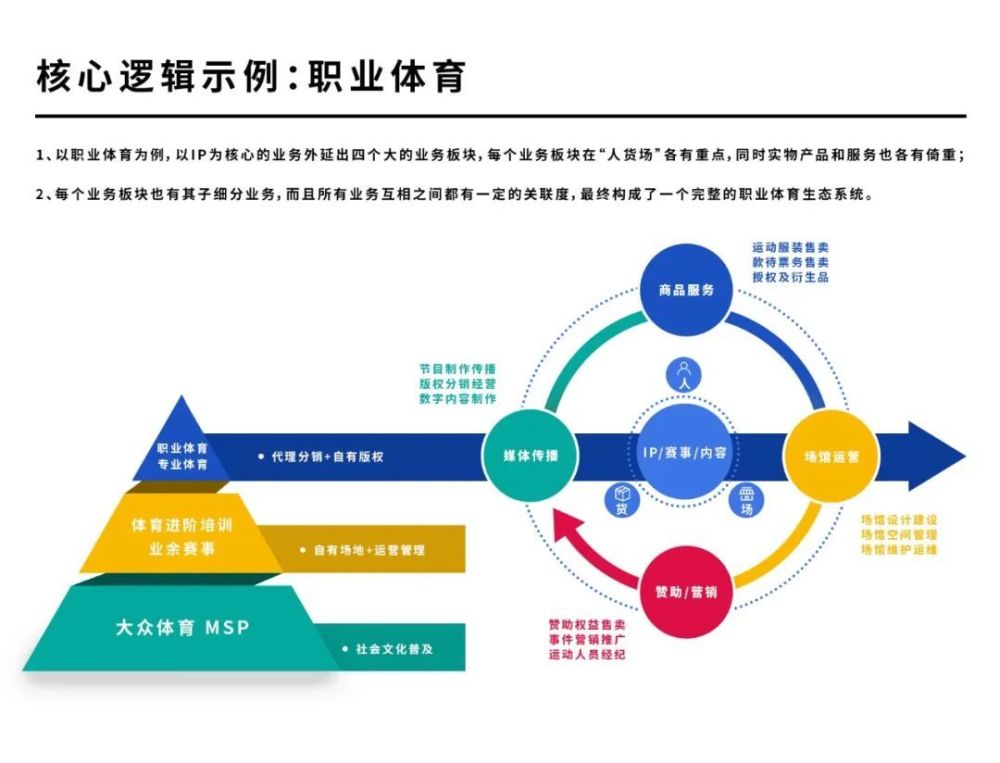 智美体育：运动生活的新篇章