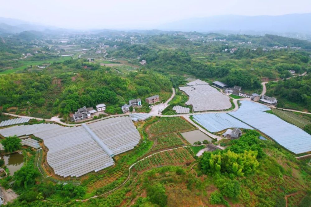 胜镇圆通村潼南区大佛街道丰产村荣昌区观胜镇银河村荣昌区清江镇河中