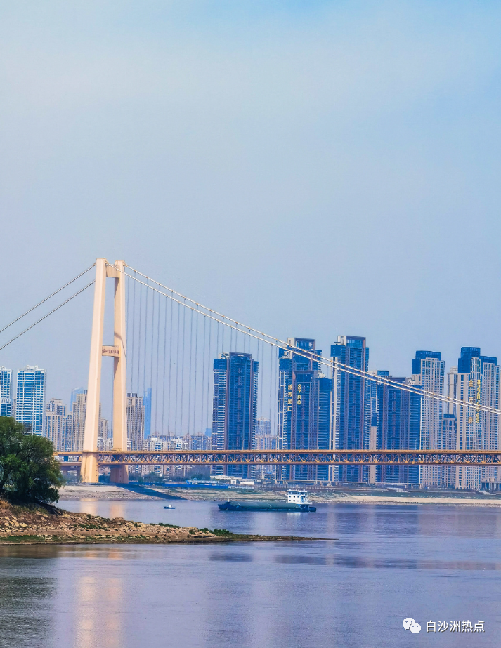 春天里的武汉白沙洲_腾讯新闻