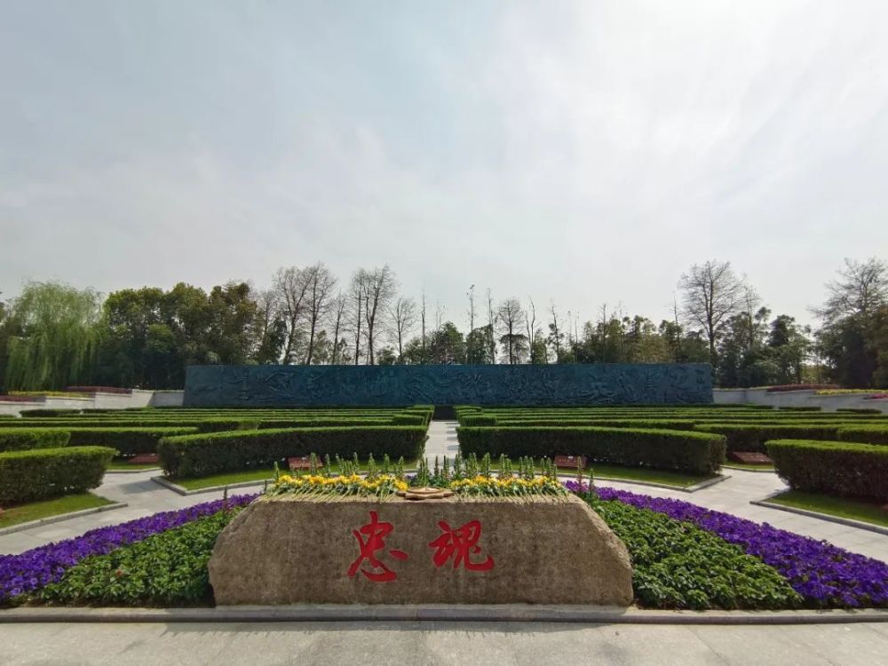 松江烈士陵园这支志愿服务队全员退役军人