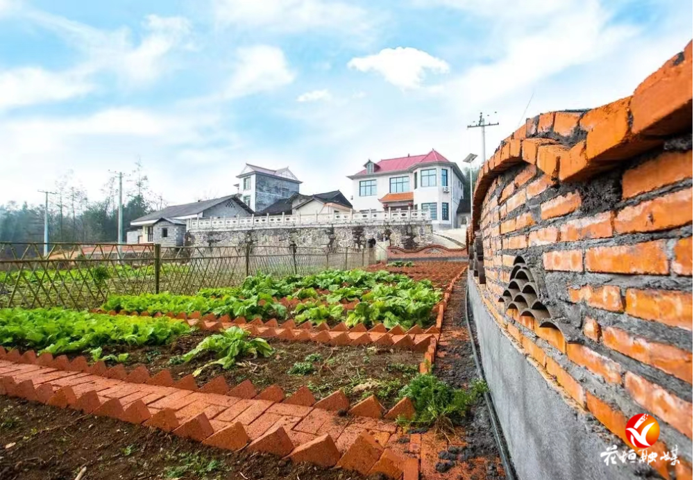 花垣镇:提升人居环境"新颜值" 绘就和美乡村"新画卷"_腾讯新闻