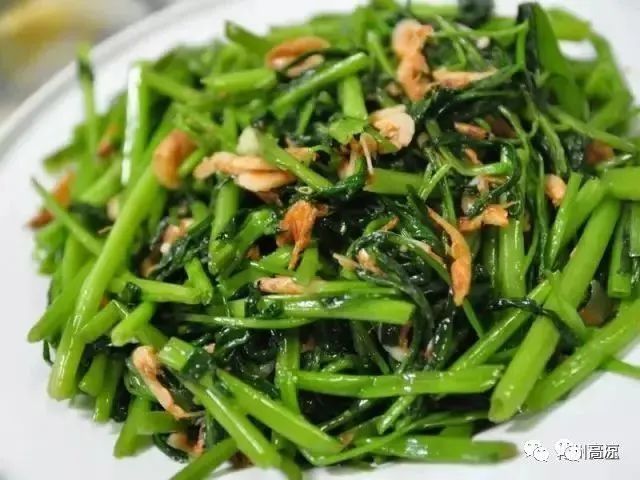 “ong菜”即将大举进攻“入侵”茂名人的饭桌_腾讯新闻