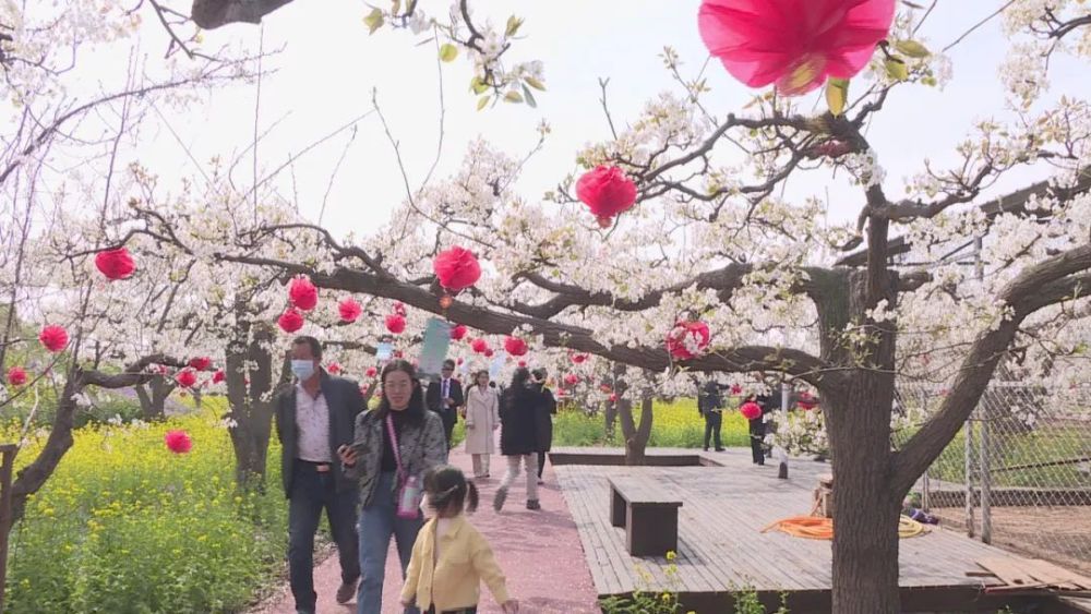 据了解,梨花节期间,赵县还将举办首届生物医药发展论坛暨招商引资项目