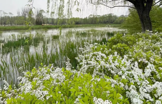 畅游都市花海，享受农耕骑行乐趣丰台推出三条骑行旅游线路怎么在电脑上做思维导图2023已更新(知乎/新华网)怎么在电脑上做思维导图