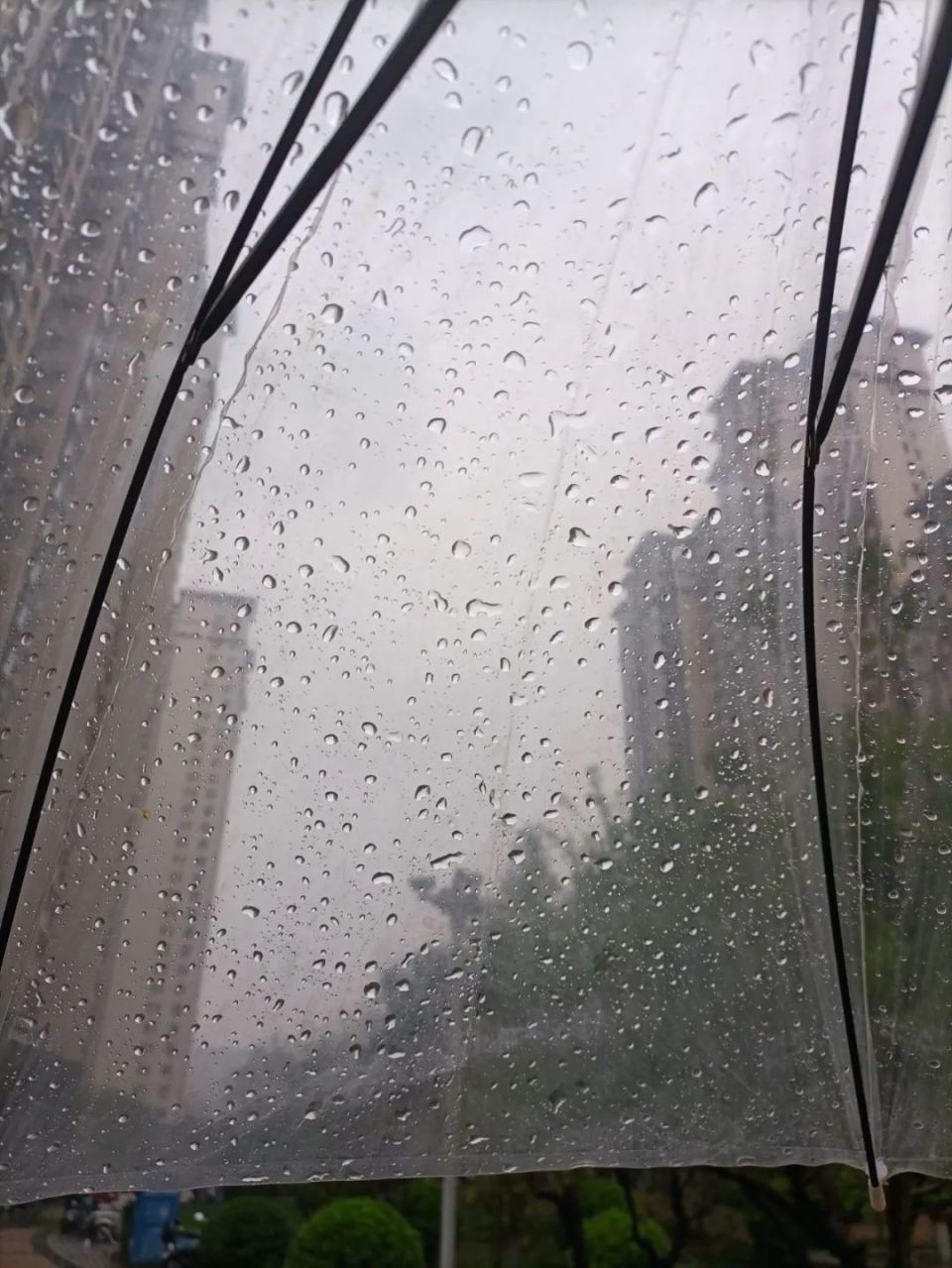 早晨下雨的图片真实的图片