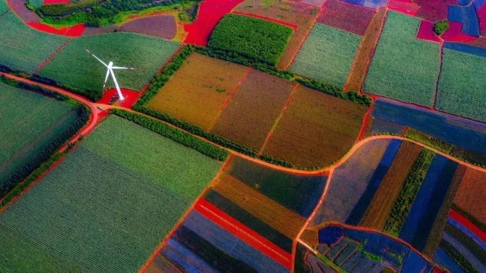 形状和周期相同中国最为壮丽的椰子闲适图景tnumbera32上描写着那片