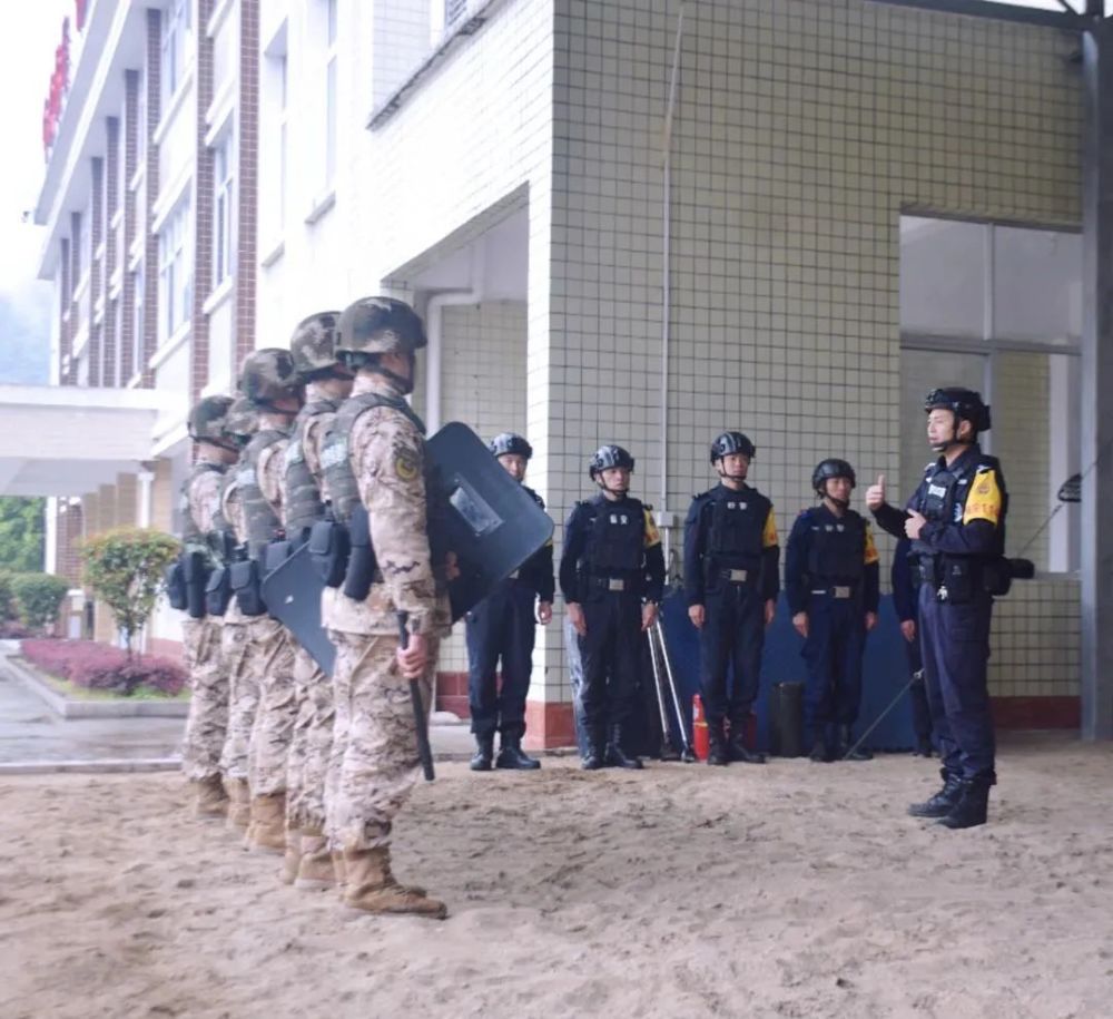 【全警实战大练兵】巡特警武警联训，“大练兵”锻造铁拳 腾讯新闻