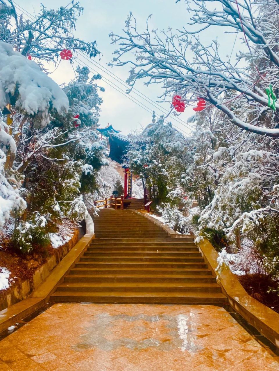 临洮岳麓山雪景