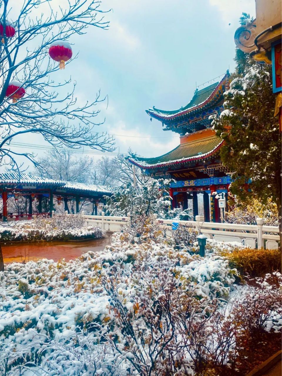 临洮岳麓山雪景