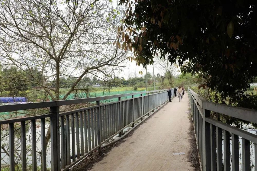 连接实验高级中学和团结岛新津这条便民道路12月底完工