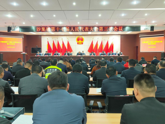 人大工作报告及财政预(决)算报告,并通过相应决议,选举沙集镇镇长,副